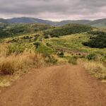 Una pista di terra rossa scende tra alte erbe dorate verso colline verdi che si susseguono fino all'orizzonte sotto un cielo grigio