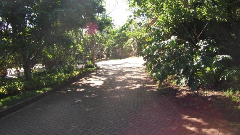 Un vialetto lastricato all'ombra degli alberi e delle aiuole della struttura