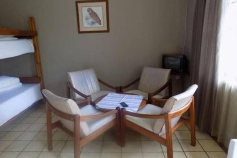 Quattro poltrone con cuscini bianchi intorno a un tavolino, accanto a un letto a castello, sotto un quadro con un gufo