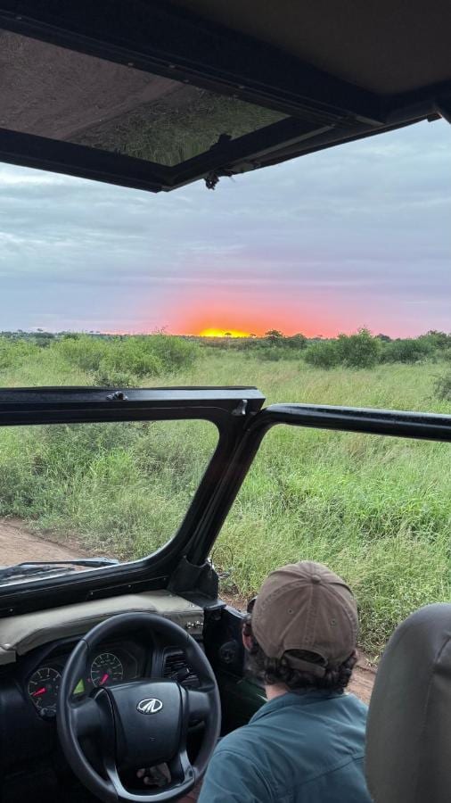 Un sole rosso all'orizzonte della boscaglia, visto da un veicolo da safari aperto