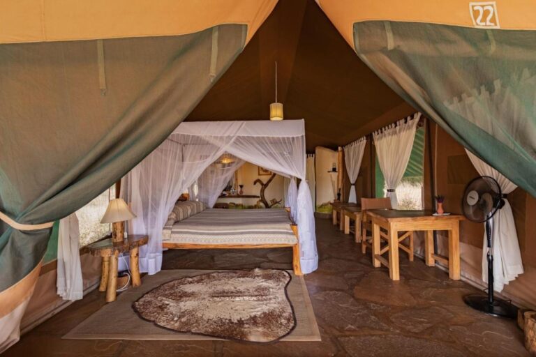 Una tenda vista dall'ingresso, con un letto con zanzariera, una scrivania e un ventilatore