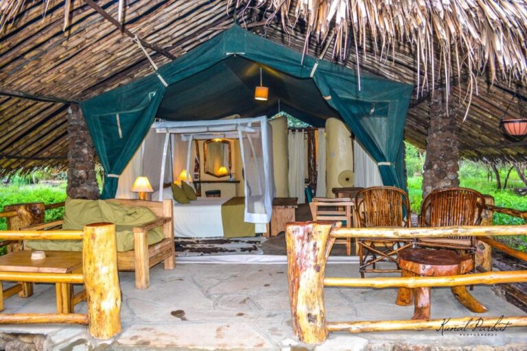 L'ingresso di una tenda del Kibo Safari Camp sotto un tetto di paglia, con la terrazza e le poltrone di legno