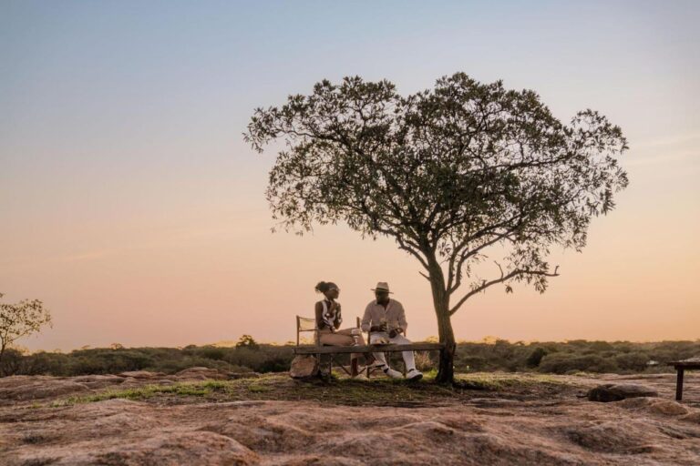 Una coppia seduta su una panchina sotto un albero, su una lastra di roccia, sotto un cielo rosa