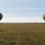 Due mongolfiere a strisce atterrano di primo mattino nella pianura verde, con i 4x4 che le seguono