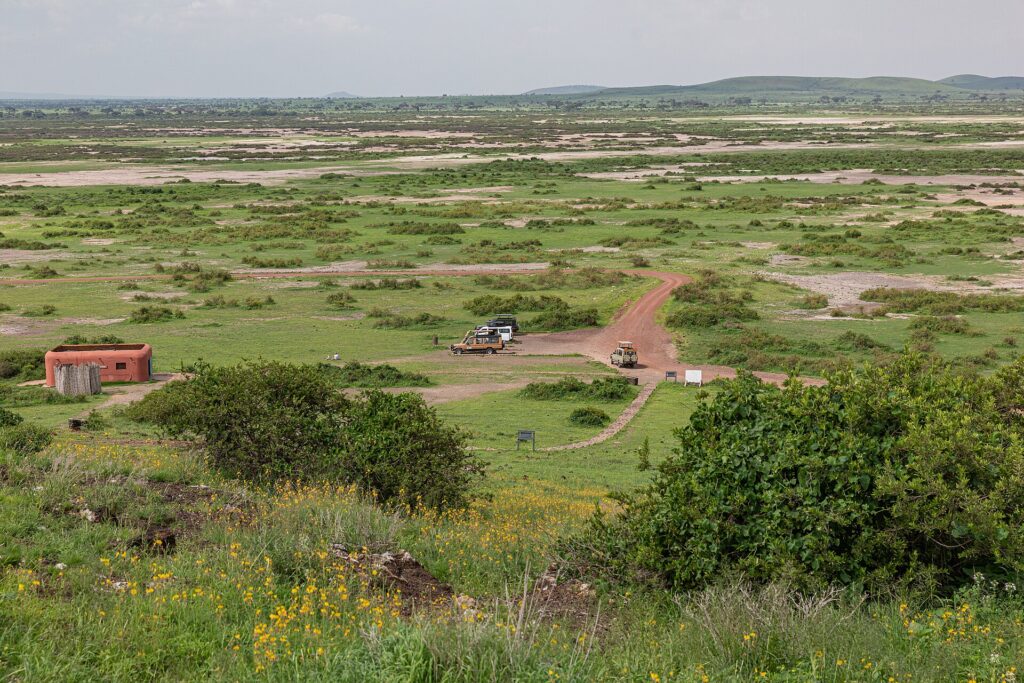 Vista da Observation Hill su una pianura verde macchiata di sale, una pista rossa, tre 4x4 parcheggiati vicino a un piccolo edificio ocra, basse colline in lontananza