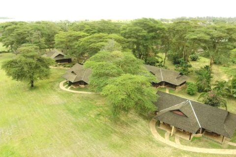 I tetti di paglia dell'Ol Tukai Lodge tra le acacie, nel parco nazionale di Amboseli