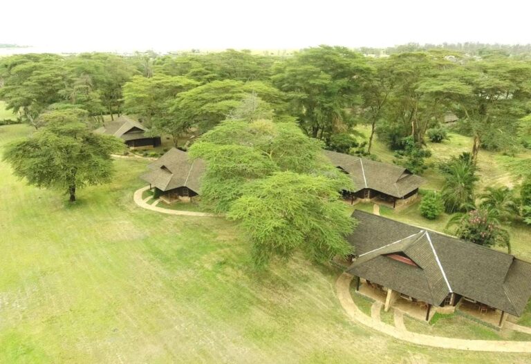 I tetti di paglia dell'Ol Tukai Lodge tra le acacie, nel parco nazionale di Amboseli