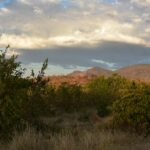 Cespugli verdi ed erba secca davanti a colline rosse illuminate dalla luce della sera, sotto una grossa nuvola