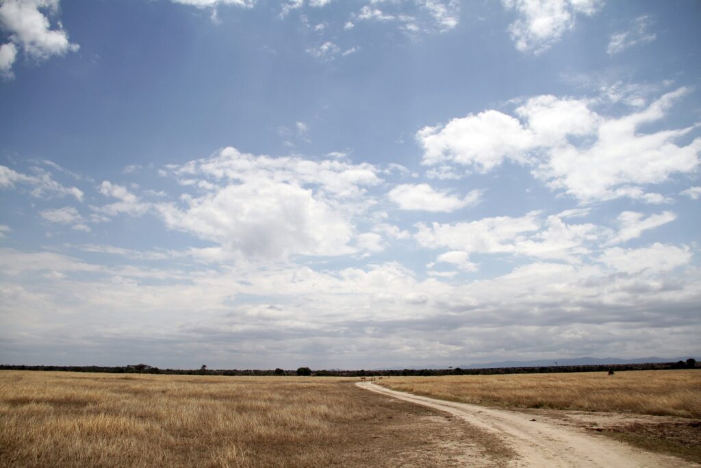 Una pista di terra chiara attraversa una pianura d'erba secca sotto un grande cielo azzurro carico di nuvole, qualche antilope in lontananza e colline all'orizzonte