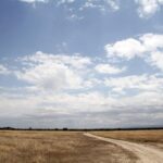 Una pista di terra chiara attraversa una pianura d'erba secca sotto un grande cielo azzurro carico di nuvole, qualche antilope in lontananza e colline all'orizzonte
