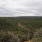 Vista ampia su colline coperte da una boscaglia verde e fitta sotto un cielo grigio, con una piccola valle chiara e una pista sterrata al centro