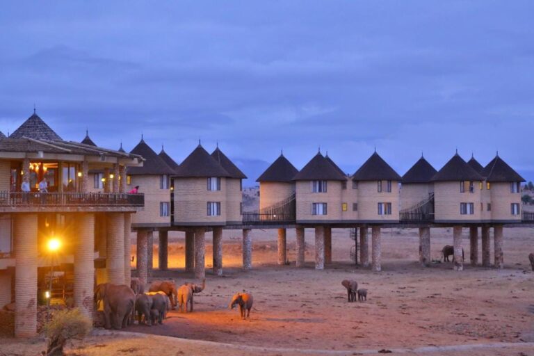Elefanti ai piedi del lodge al tramonto, sotto la terrazza illuminata e la fila di torri su palafitte