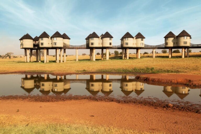 Le torri su palafitte del Salt Lick Safari Lodge, collegate da passerelle, si riflettono in una pozza d'acqua