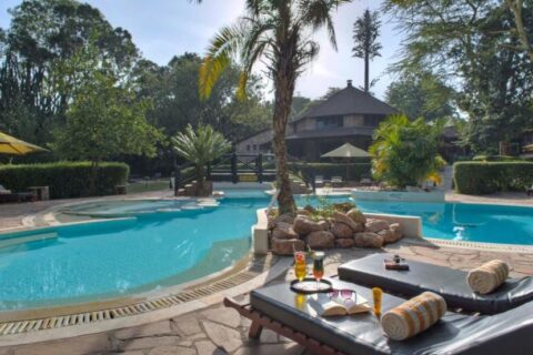 La piscina a forma di laguna del Sarova Mara Game Camp, intorno a un isolotto di rocce con una palma