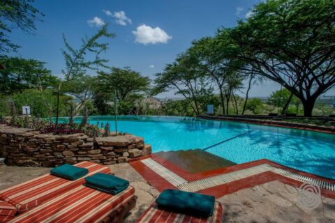 La piscina a sfioro del Serengeti Serena Safari Lodge, con gli sdraio a righe rosse e gli asciugamani verdi, sotto le acacie