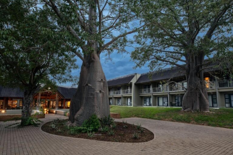 Due baobab nel cortile lastricato dello Skukuza Safari Lodge, davanti alle ali delle camere, al calar della sera