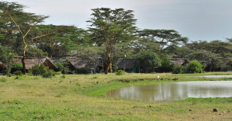 Una pozza d'acqua nella prateria, davanti alle tende dello Sweetwaters Serena Camp tra le acacie