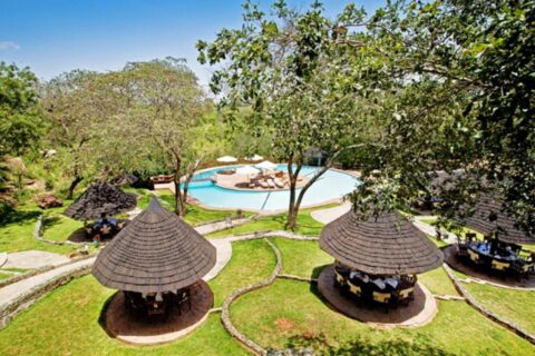 La piscina del Tarangire Sopa Lodge e i suoi gazebo con il tetto di paglia, in mezzo agli alberi