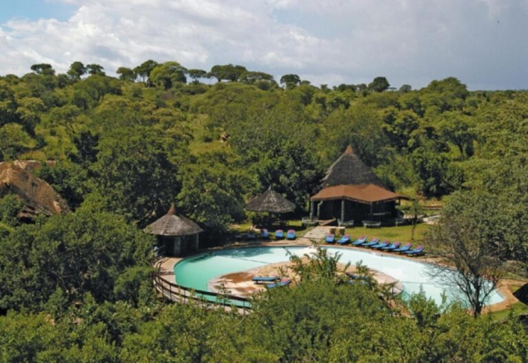 La piscina del lodge in mezzo alla boscaglia del Tarangire, coperta di alberi