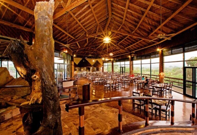 Il ristorante del lodge, con i tavoli aperti sulla boscaglia e un tronco d'albero al centro