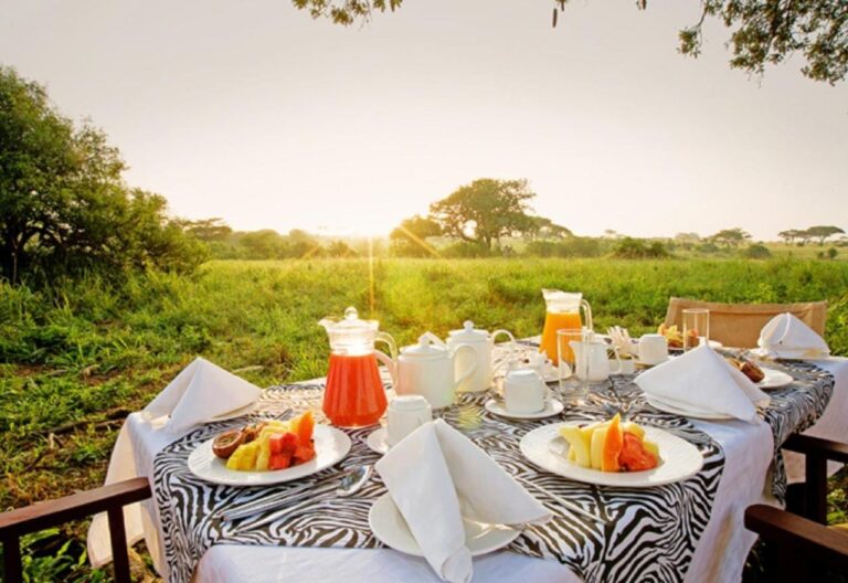 Un tavolo per la colazione apparecchiato su una terrazza davanti alla savana, all'alba