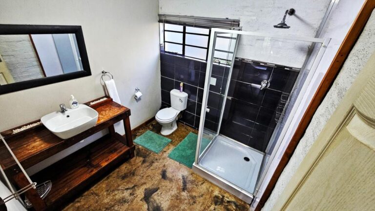 Un bagno con un box doccia in vetro, un WC e un lavabo d'appoggio su un mobile in legno scuro