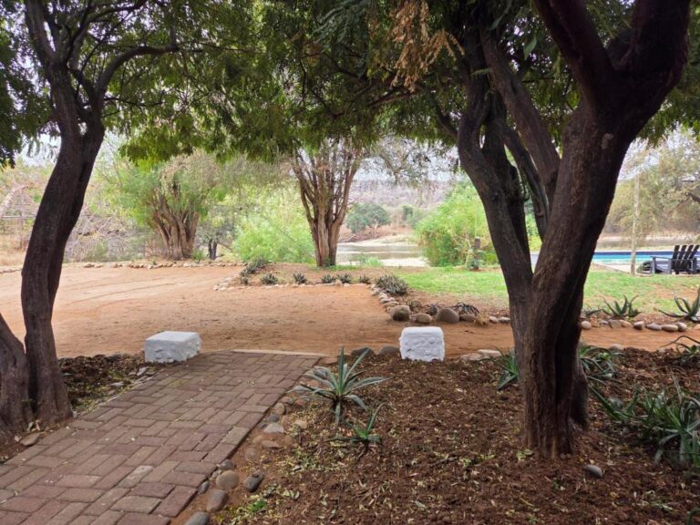 Un vialetto di mattoni sotto gli alberi del giardino, verso il prato, la piscina e il fiume
