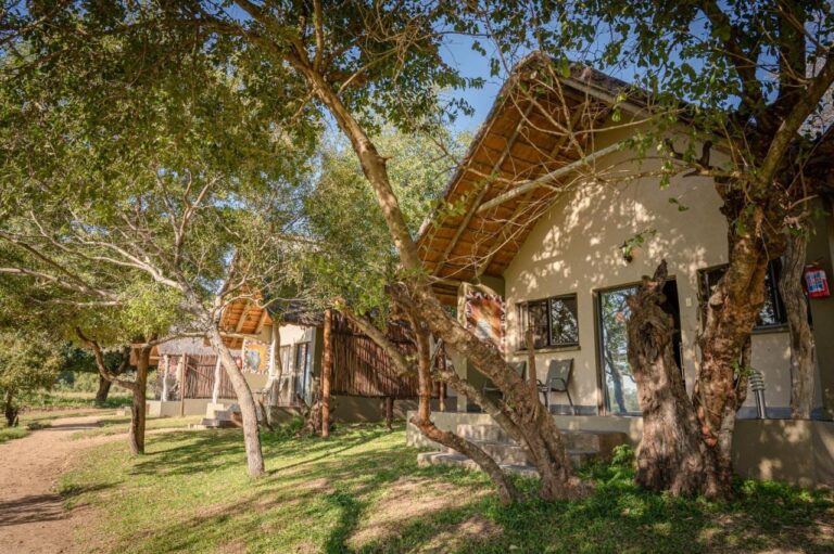 Chalet con il tetto di paglia sotto gli alberi, lungo un sentiero di sabbia